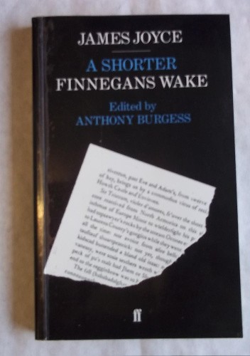 A Shorter Finnegans Wake - James Joyce