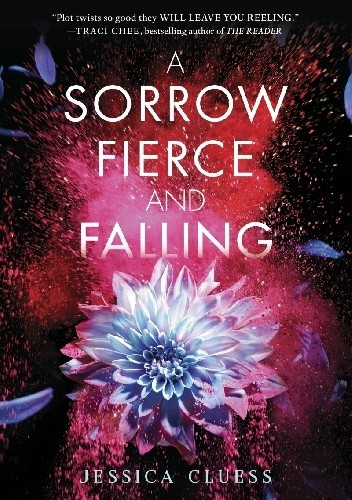A Sorrow Fierce and Falling - Jessica Cluess
