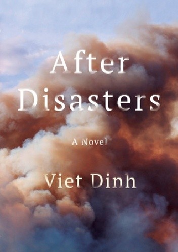 After Disasters - Viet Dinh