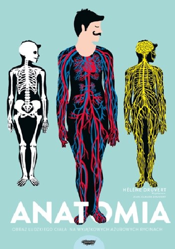 Anatomia. Obraz ludzkiego ciała na wyjątkowych ażurowych rycinach - Hélène Druvert
