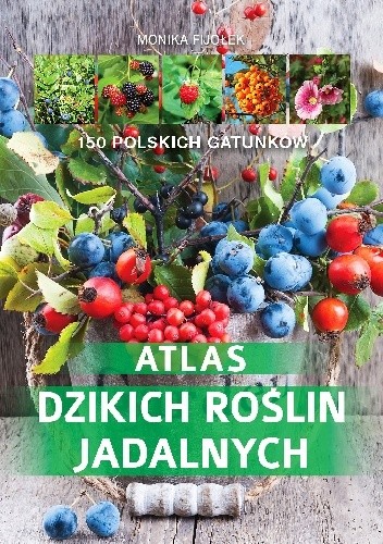 Atlas dzikich roślin jadalnych - Monika Fijołek