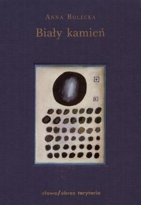 Biały kamień - Anna Bolecka