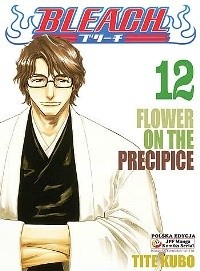 Bleach 12. Flower on the precipice - Tite Kubo