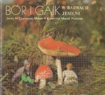 Bór i Gaik w barwach jesieni - Jerzy Michał Czarnecki