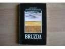 Bruzda - Josemaría Escriva de Balaguer