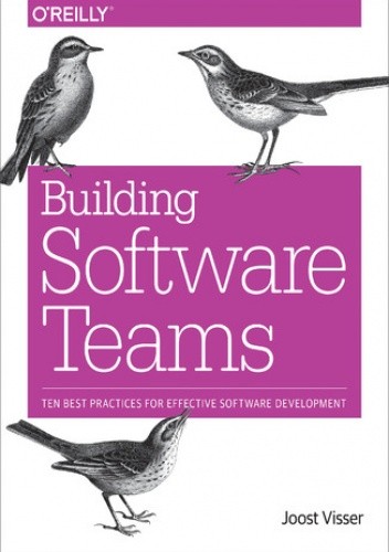 Building Software Teams. Ten Best Practices for Effective Software Development - Joost Visser
