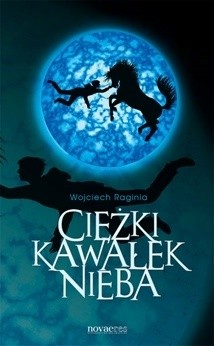 Ciężki kawałek nieba - Wojciech Raginia