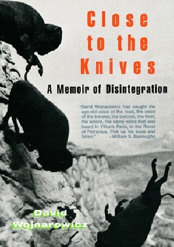 Close to the Knives: A Memoir of Disintegration - David Wojnarowicz