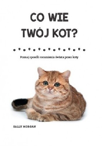 Co wie twój kot - Sally Morgan