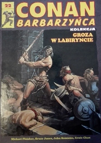 Conan Barbarzyńca. Tom 22 - Groza w labiryncie - Bruce Jones