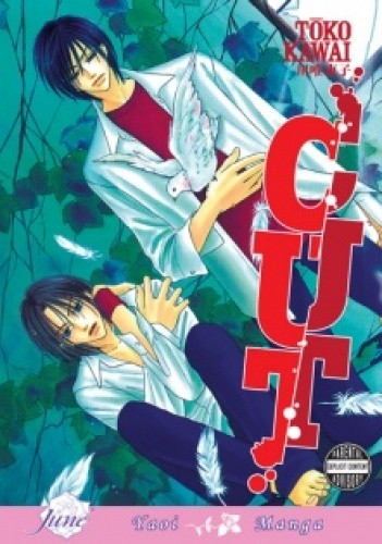 CUT - Toko Kawai