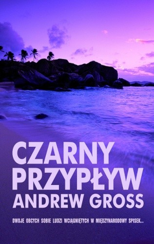 Czarny przypływ - Andrew Gross