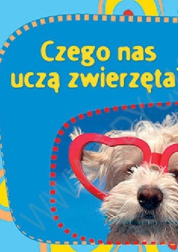 Czego nas uczą zwierzęta. Perełka z aniołkiem nr 4 - praca zbiorowa