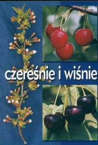 Czereśnie i wiśnie - Mirosław Sitarek