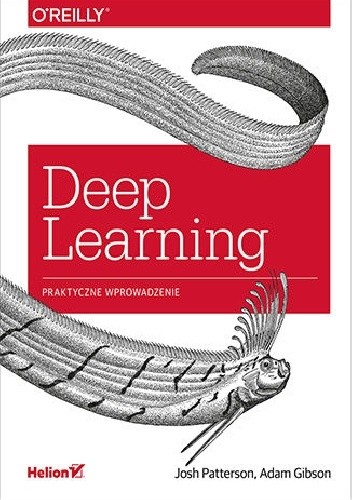 Deep Learning. Praktyczne wprowadzenie - Josh Patterson