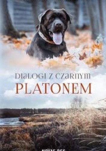 Dialogi z czarnym Platonem - Iwona Bińczycka-Kołacz