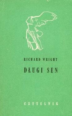 Długi sen - Richard Wright