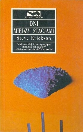 Dni między stacjami - Steve Erickson