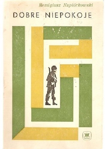 Dobre niepokoje - Remigiusz Napiórkowski