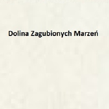 Dolina Zagubionych Marzeń - Liliana Bardijewska