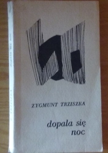 Dopala się noc - Zygmunt Trziszka