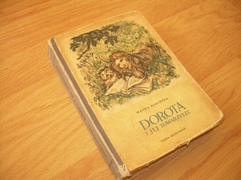 Dorota i jej towarzysze - Wanda Borudzka