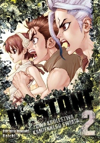 Dr. Stone tom 2 - Boichi