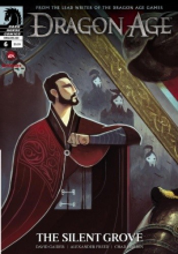 Dragon Age: The Silent Grove vol. 6 - David Gaider