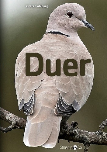 Duer - Kirsten Ahlburg