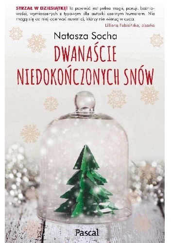 Dwanaście niedokończonych snów - Natasza Socha