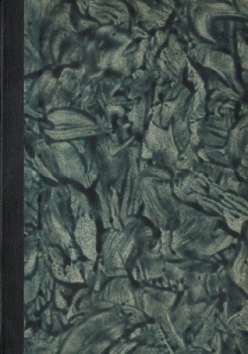 Dziura w brzuchu - Niejaki X