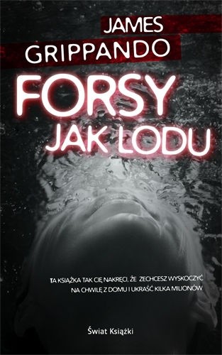 Forsy jak lodu - James Grippando