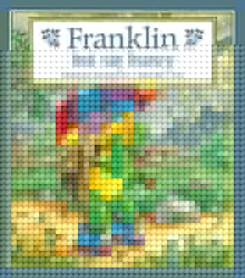 Franklin boi się burzy - Paulette Bourgeois