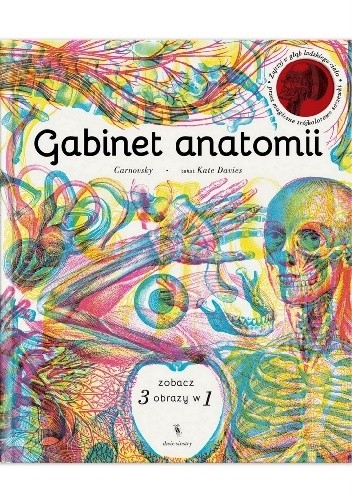 Gabinet anatomii - Kate Davies