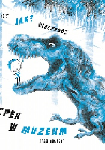 Gdzie? Jak? Dlaczego? Kacper w muzeum - Adam Święcki