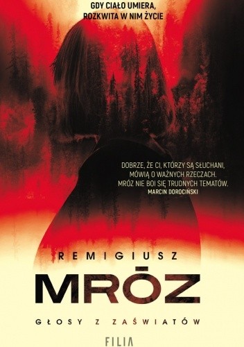 Głosy z zaświatów - Remigiusz Mróz