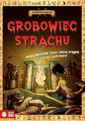 Grobowiec strachu. Historyczne śledztwo - Timothy Knapman