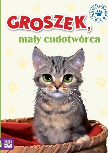 Groszek, mały cudotwórca - Marzena Kwietniewska-Talarczyk