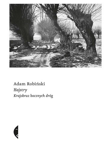 Hajstry. Krajobraz bocznych dróg - Adam Robiński