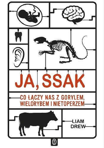 Ja, ssak. Co łączy nas z gorylem, wielorybem i nietoperzem - Liam Drew