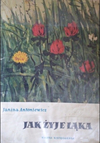 Jak żyje łąka - Janina Antoniewicz