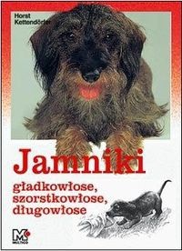 Jamniki gładkowłose szorstkowłose, długowłose - Kettendorfer Horst