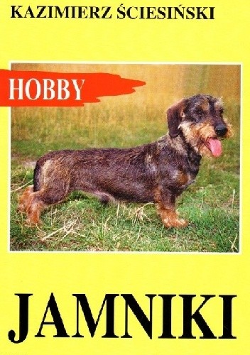 Jamniki - Kazimierz Ściesiński
