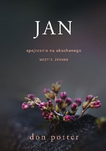 Jan. Spojrzenie na ukochanego ucznia Jezusa - Don Potter