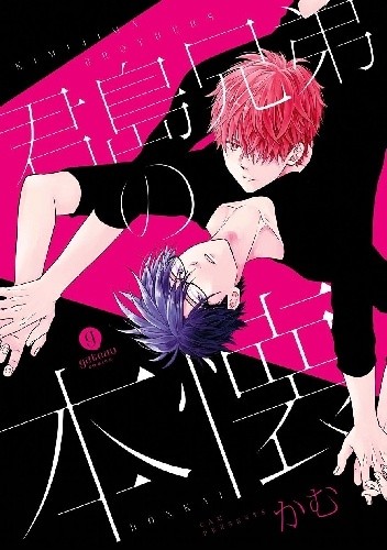 Kimijima Kyoudai no Honkai - Cam