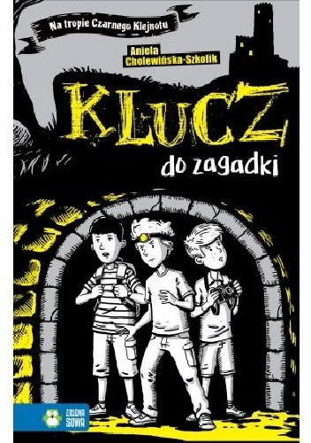 Klucz do zagadki - Aniela Cholewińska-Szkolik
