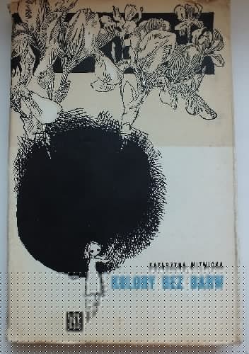 Kolory bez barw - Katarzyna Witwicka