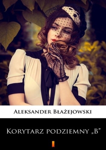 Korytarz podziemny B - Aleksander Błażejowski