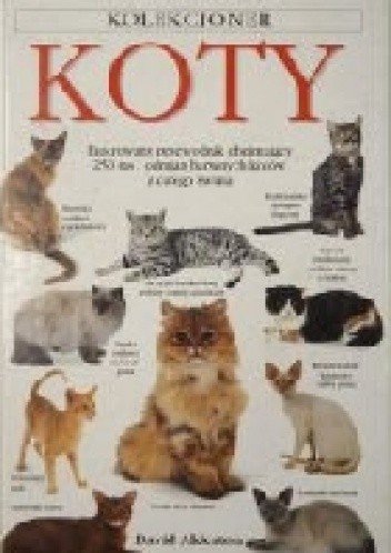 Koty - David Alderton
