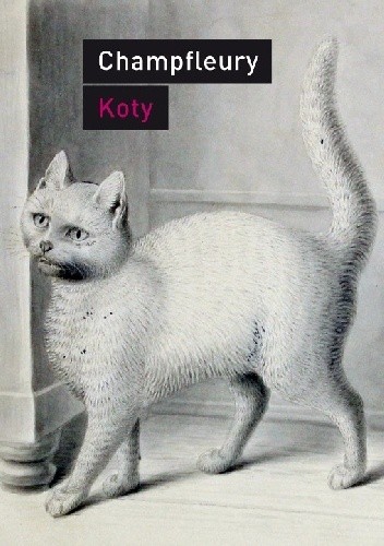 Koty. Historia, zwyczaje, obserwacje, anegdoty - Champfleury
